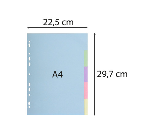 Intercalaires carte pastel 170g Forever 5 positions - A4