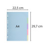 Intercalaires carte pastel 170g Forever 5 positions - A4