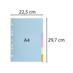 Intercalaires carte pastel 170g Forever 6 positions - A4