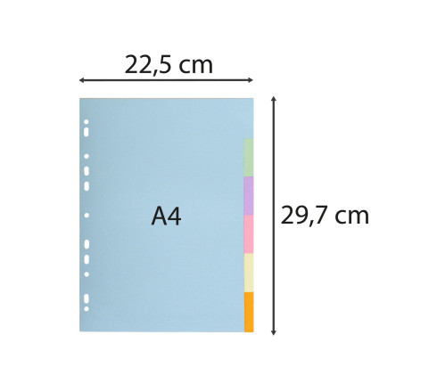 Intercalaires carte pastel 170g Forever 6 positions - A4