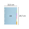Intercalaires carte pastel 170g Forever 6 positions - A4