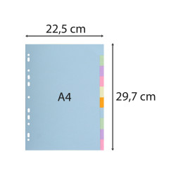 Intercalaires carte pastel 170g Forever 10 positions - A4