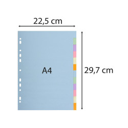 Intercalaires carte pastel 170g Forever 12 positions - A4