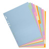 Intercalaires carte pastel 170g Forever 12 positions - A4