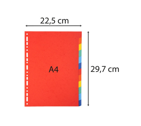 Intercalaires carte 220g 12 positions - A4