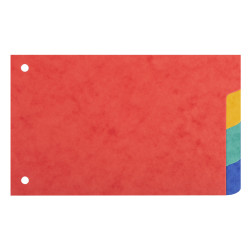 Intercalaires pour fiches bristol carte lustrée 225g/m2 4 positions - 100x150mm