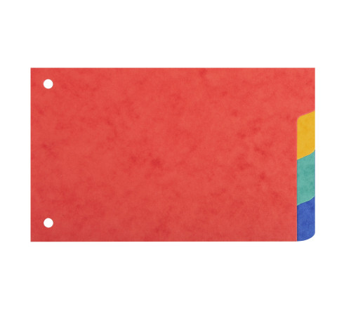Intercalaires pour fiches bristol carte lustrée 225g/m2 4 positions - 100x150mm