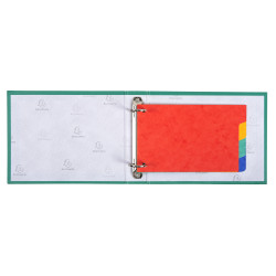 Intercalaires pour fiches bristol carte lustrée 225g/m2 4 positions - 100x150mm
