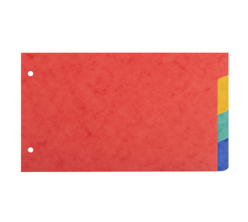 Intercalaires pour fiches bristol en carte lustrée 225g/m2 4 positions - 125x200mm