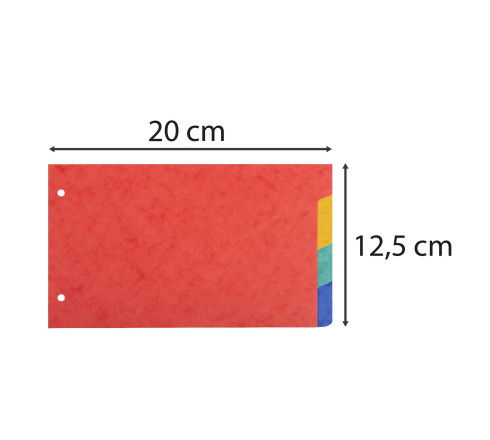 Intercalaires pour fiches bristol en carte lustrée 225g/m2 4 positions - 125x200mm