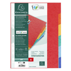 Intercalaires carte lustrée 225g 6 positions - A4