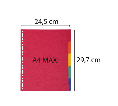 Intercalaires en véritable carte lustrée souple 225g/m2 FSC® avec 5 onglets neutres
