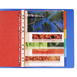 Intercalaires carte lustrée 225g 6 positions - A4 maxi