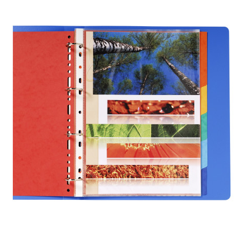 Intercalaires carte lustrée 225g 6 positions - A4 maxi