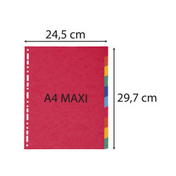 Intercalaires en véritable carte lustrée souple 225g/m2 FSC® avec 10 onglets neutres