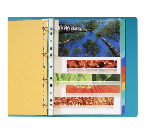 Intercalaires en véritable carte lustrée souple 225g/m2 FSC® avec 12 onglets neutres
