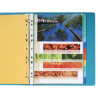 Intercalaires en véritable carte lustrée souple 225g/m2 FSC® avec 12 onglets neutres