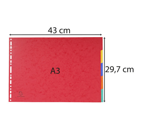 Intercalaires carte lustrée 400g 5 positions - A3