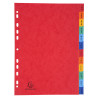Intercalaires indexés - 12 touches January/December
