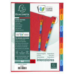 Intercalaires indexés - 12 touches January/December