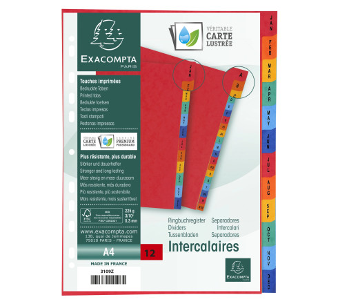Intercalaires indexés - 12 touches January/December
