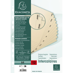 Intercalaires imprimés Carte peau 155g 12 positions de janvier à décembre - A4