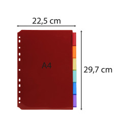 Intercalaires PP transparent couleurs avec porte étiquette A4 6 positions