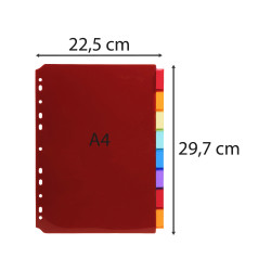 Intercalaires PP transparent couleurs avec porte étiquette A4 8 positions