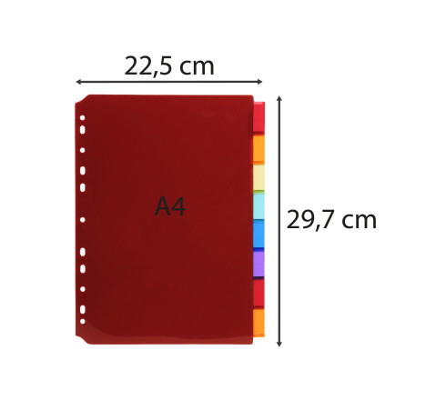 Intercalaires PP transparent couleurs avec porte étiquette A4 8 positions
