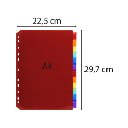 Intercalaires PP transparent couleurs avec porte étiquette A4 12 positions