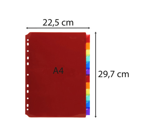 Intercalaires PP transparent couleurs avec porte étiquette A4 12 positions