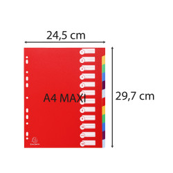 Intercalaires polypropylène opaque semi rigide 12 positions - A4 maxi