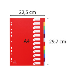 Intercalaires polypropylène opaque semi rigide 12 positions - A4