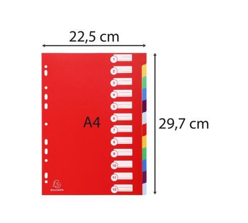 Intercalaires polypropylène opaque semi rigide 12 positions - A4
