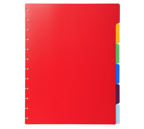 Intercalaires polypropylènes couleurs 6 positions pour porte-vues à anneaux