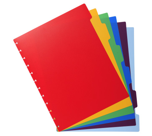Intercalaires polypropylènes couleurs 6 positions pour porte-vues à anneaux