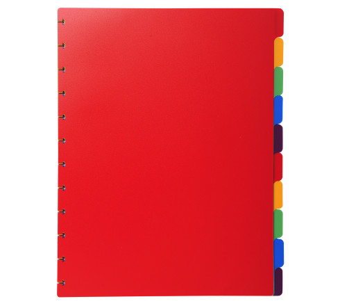 Intercalaires polypropylènes couleurs 10 positions pour porte-vues à anneaux