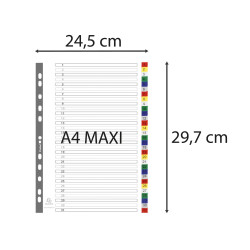 Intercalaires imprimés numériques PP couleurs 12/100e - 31 positions - A4+