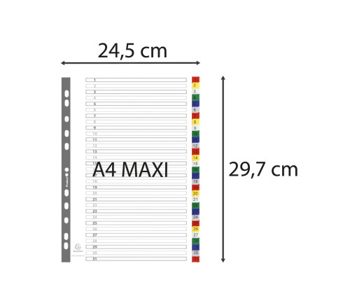 Intercalaires imprimés numériques PP couleurs 12/100e - 31 positions - A4+