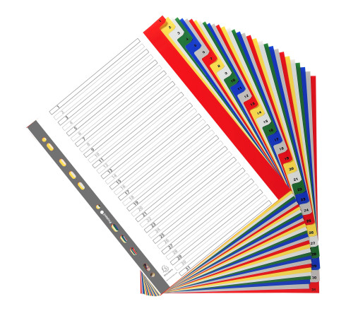 Intercalaires imprimés numériques PP couleurs 12/100e - 31 positions - A4+