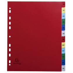 Intercalaires imprimés mensuel PP couleurs 12/100e - 12 positions - A4+