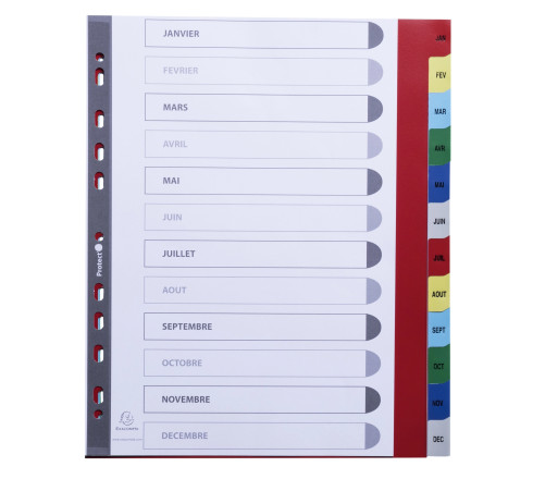 Intercalaires imprimés mensuel PP couleurs 12/100e - 12 positions - A4+