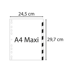 Intercalaires imprimés mensuel PP couleurs 12/100e - 12 positions - A4+