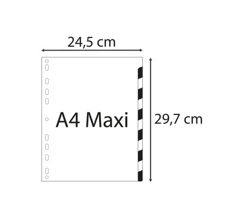 Intercalaires imprimés mensuel PP couleurs 12/100e - 12 positions - A4+