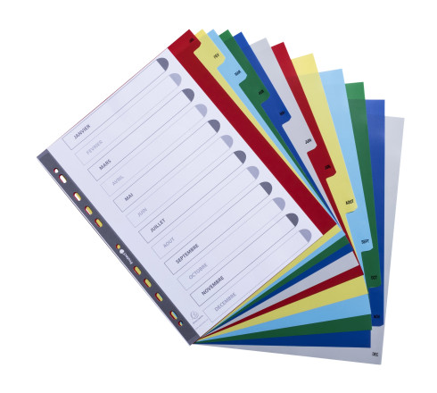 Intercalaires imprimés mensuel PP couleurs 12/100e - 12 positions - A4+