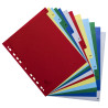 Intercalaires imprimés mensuel PP couleurs 12/100e - 12 positions - A4+