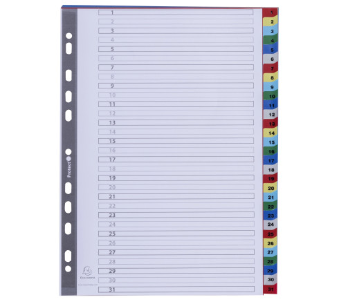 Intercalaires imprimés numériques PP couleurs 31 positions - A4