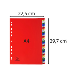 Intercalaires imprimés numériques PP couleurs 31 positions - A4