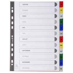 Intercalaires imprimés mensuels PP couleurs Janv-Décembre - A4
