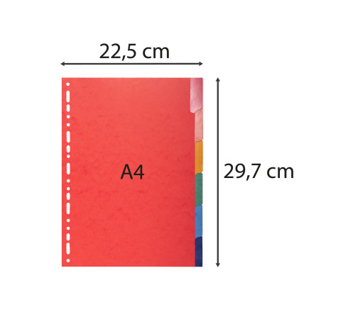 Intercalaires Carte lustrée 225g avec onglets renforcés - 6 positions - A4